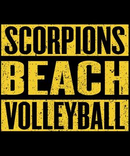 scorpions beach volleyball