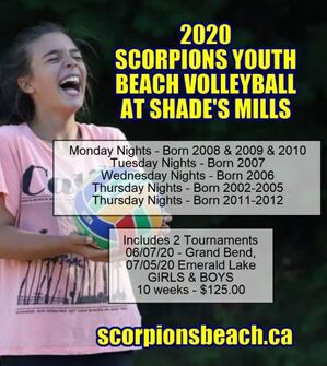 scorpions beach volleyball