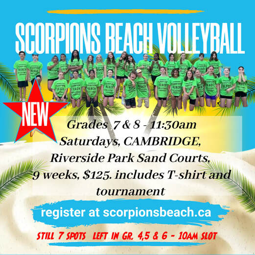 Scorpions Beach Volleyball